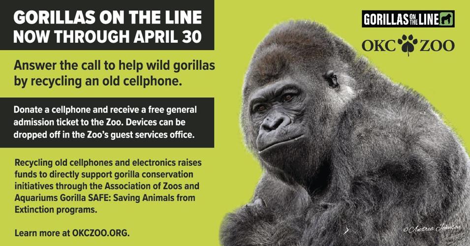 OKC Zoo presents interactive Gorilla Trek Virtual Reality experience Manufacturing