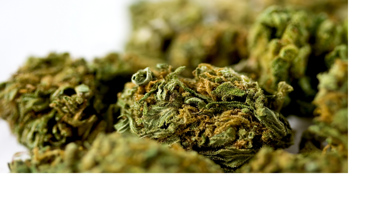 As Trump Weighs Federal Marijuana Shift, Oklahoma Voters Face High-Stakes SQ 837 Debate