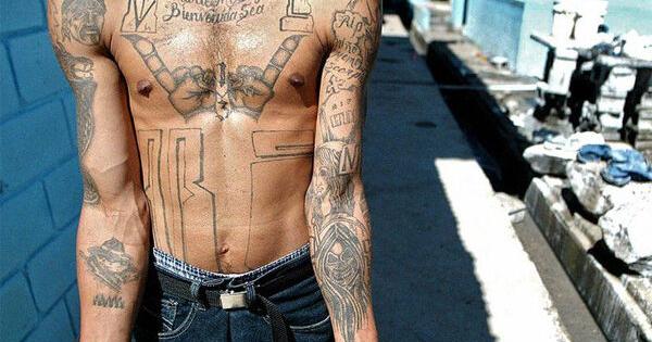 Trump Team Takes MS-13 Leader