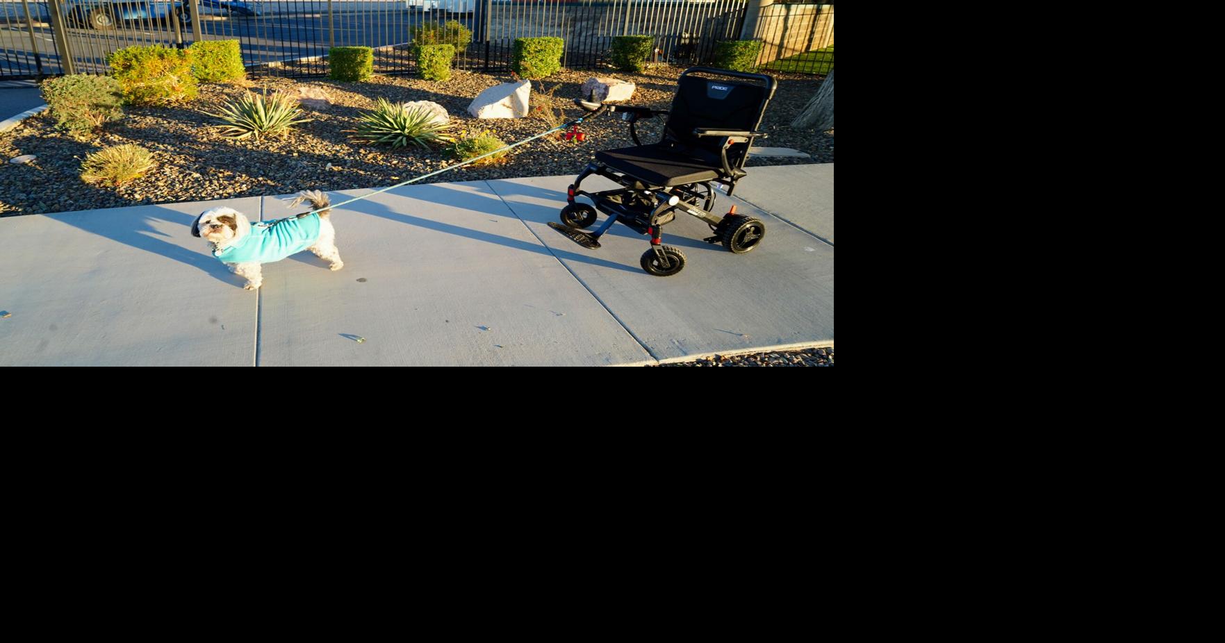 The importance of supporting local expertise: Finding mobility solutions