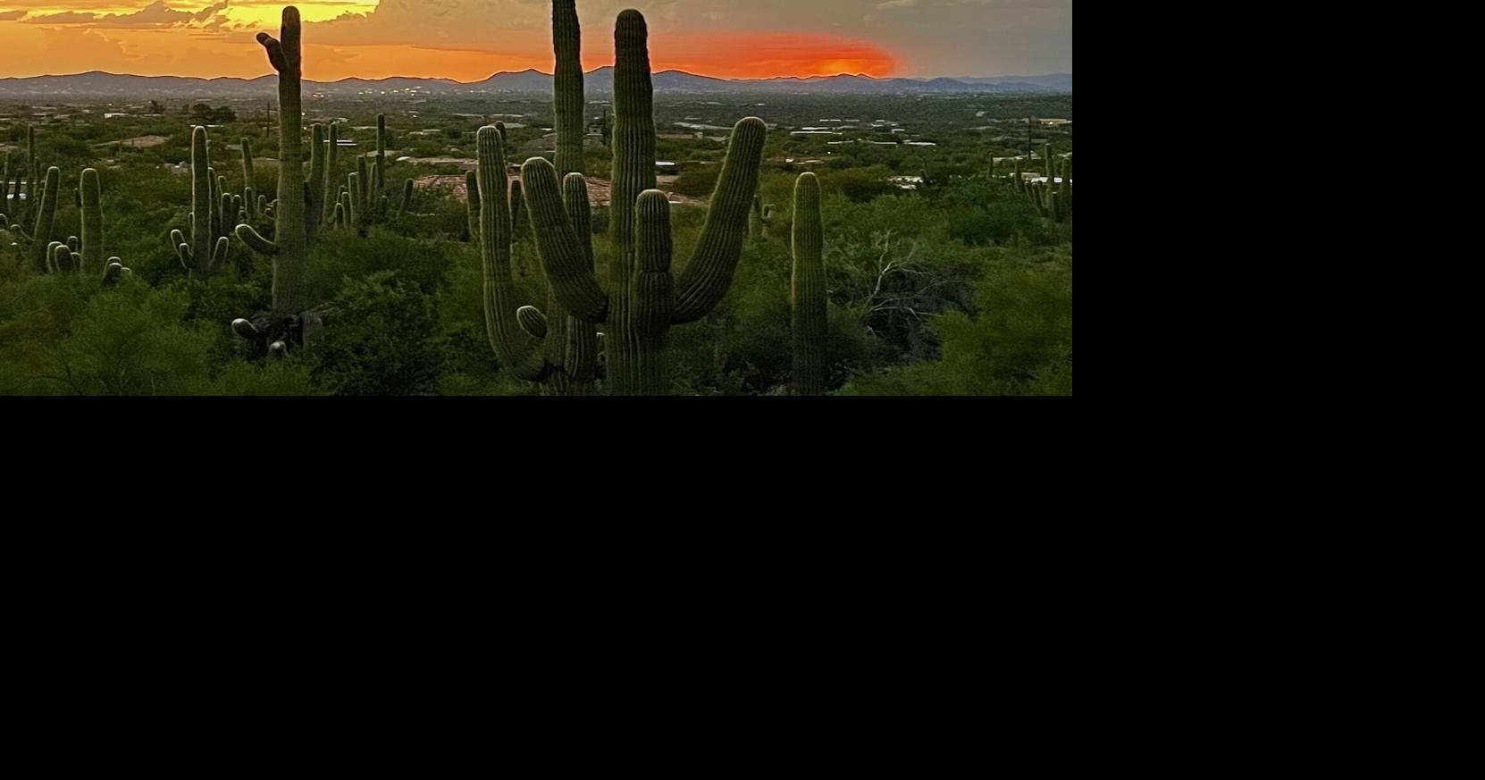 Economic uncertainty and mortgage rates impact Phoenix housing market