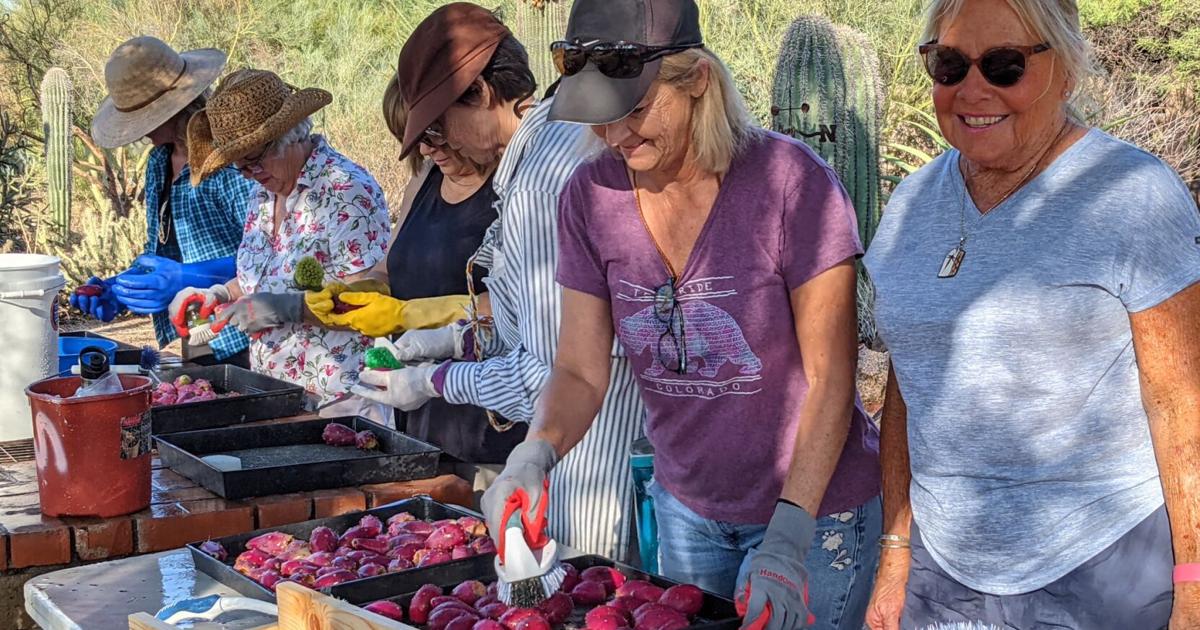 Prickly Pear Fest offers a taste of the desert | Things To Do