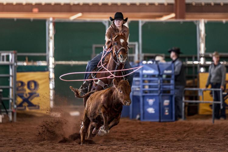 Art of the Cowgirl 1