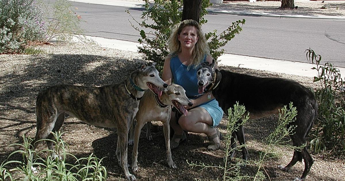 Pet Behavior Solutions: Training expectations for very fearful dogs | Columnists Pet Behavior Solutions: Training expectations for very fearful dogs | Columnists