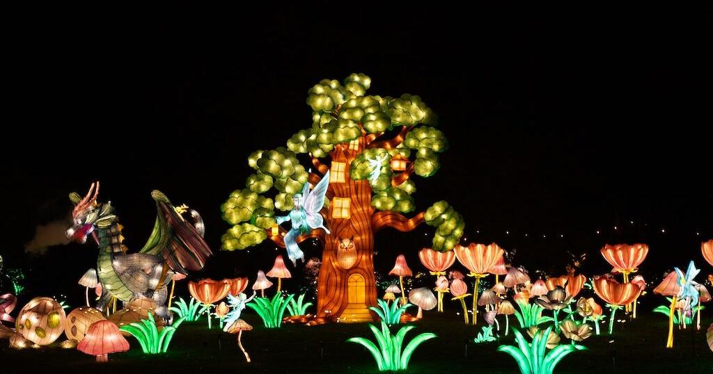 Things To Do Tianyu Lights Festival Comes To Phoenix Oct 25 Events things-to-do-tianyu-lights-festival-comes-to-phoenix-oct-25-events