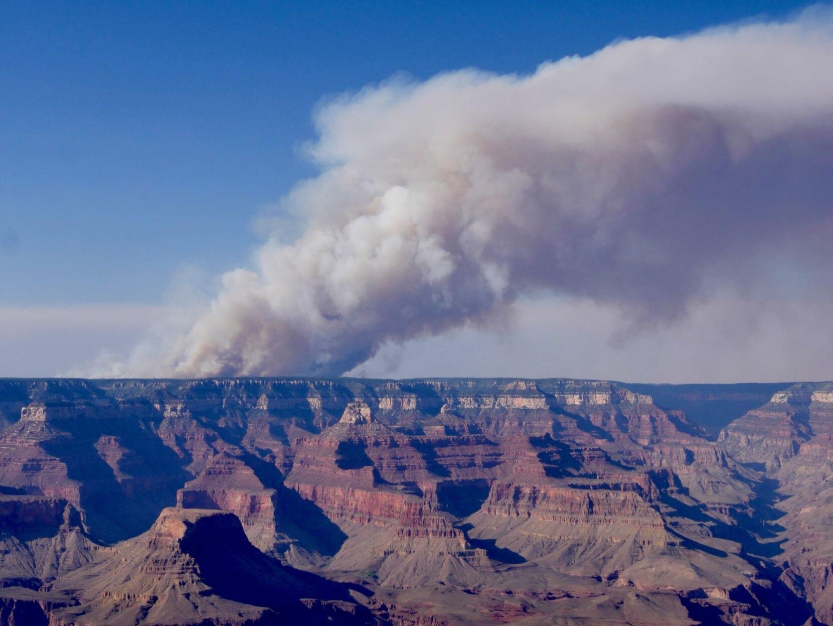 Wildfires Devastate Grand Canyon Tourism Businesses Featured Stories 688940857cf73.image