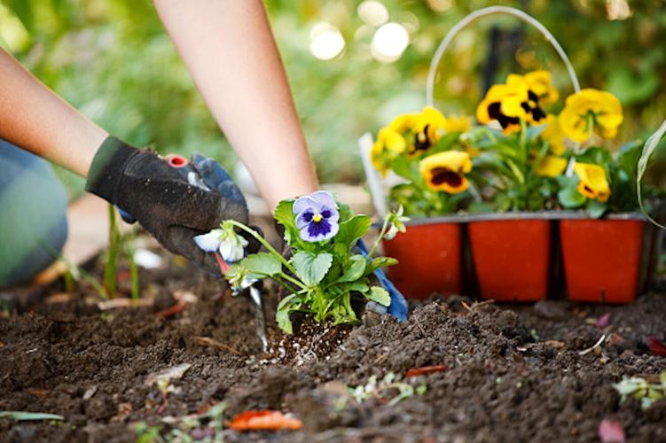 Avoid gardening injuries