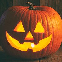 Are your Halloween decorations attracting pests?