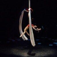 NVSO to Host ‘Big Top’ Fundraising Gala