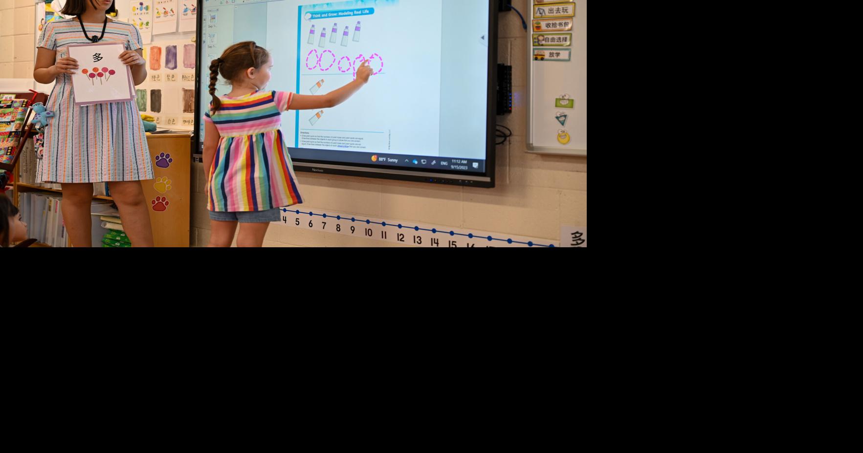 Dual Language Immersion Programs - Is it a Good Fit? | Preferred ...