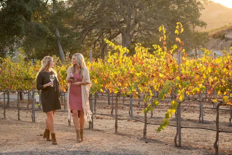 Four days, 150 wineries Paso Wine Fest returns Things To Do
