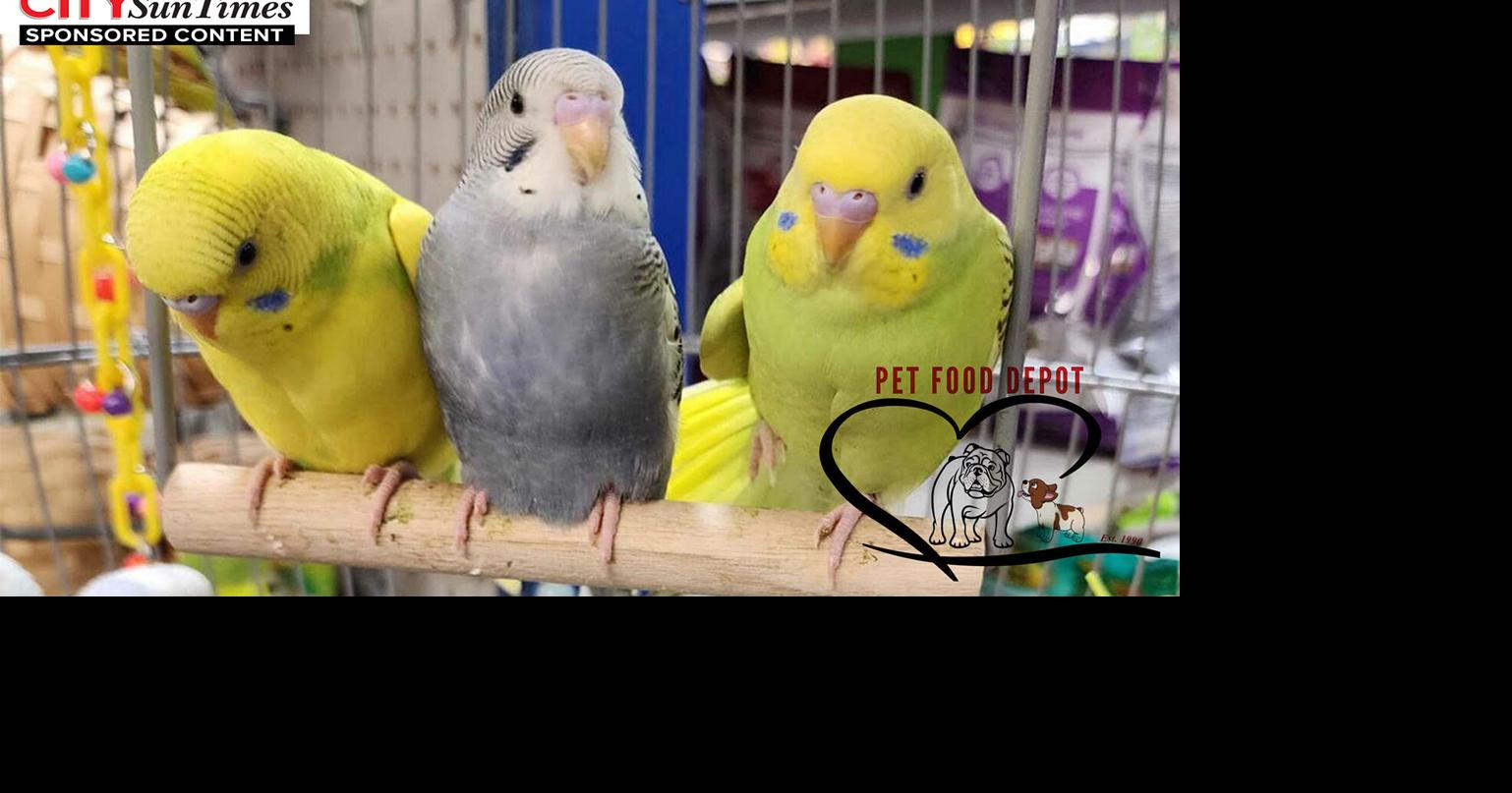 With 33 years of success, Pet Food Depot set to open third location in