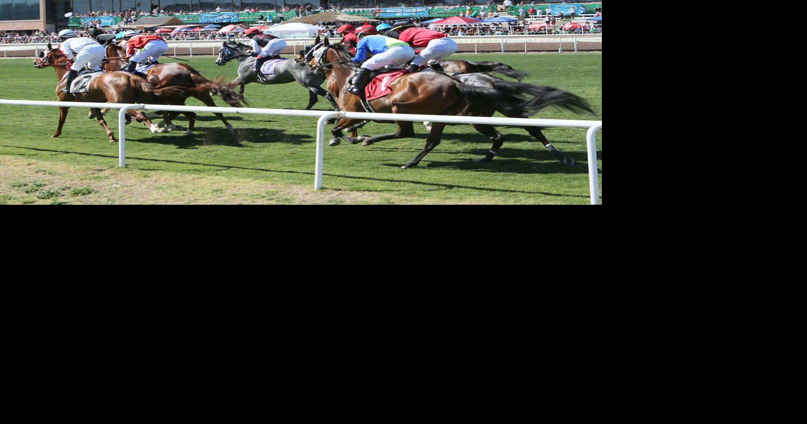 Business Spotlight: New leadership revives Turf Paradise Racetrack