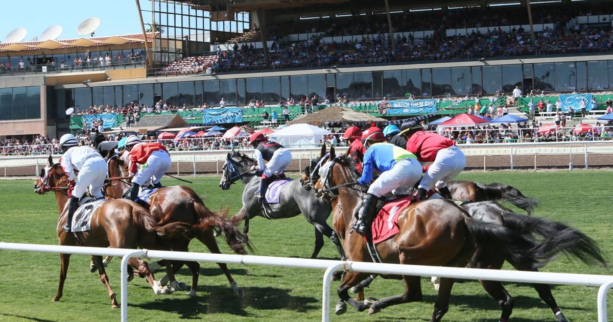 Turf Paradise: A family-friendly racing hub in Phoenix | Business ...