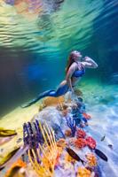 Mermaid Magic to Make a Big SPLASH at OdySea Aquarium