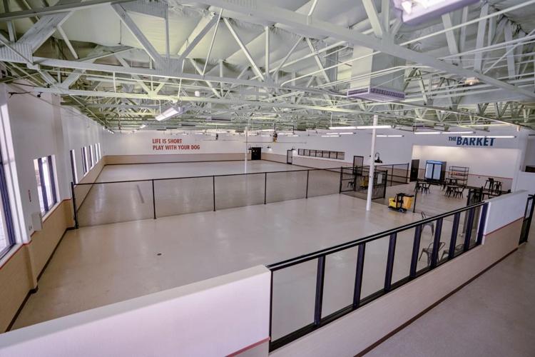 Mak Pack Arizona's first indoor dog park opens in Chandler Local
