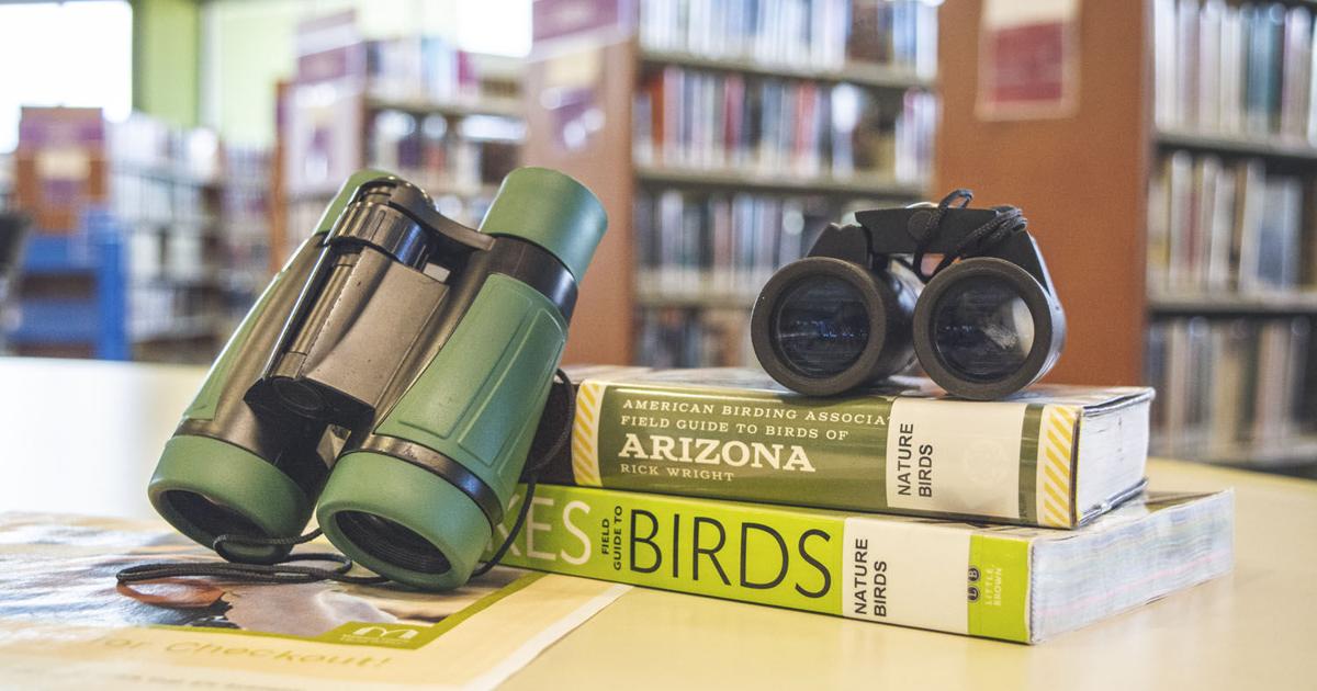 Maricopa County Summer Reading Program 2025
