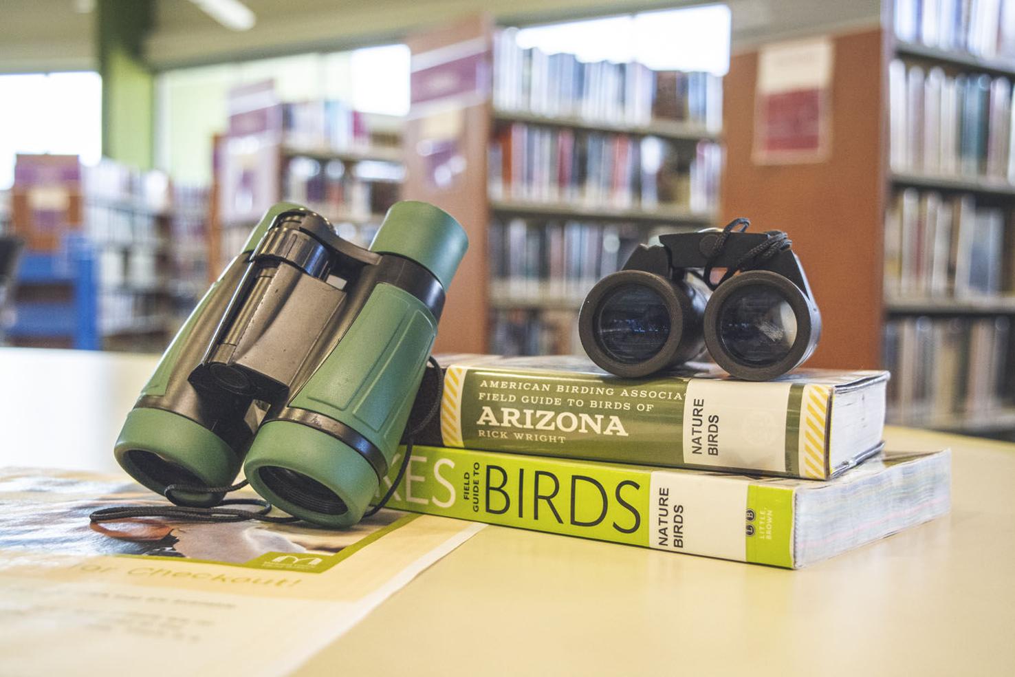 Have an imaginationfilled summer with Maricopa County Library Reading
