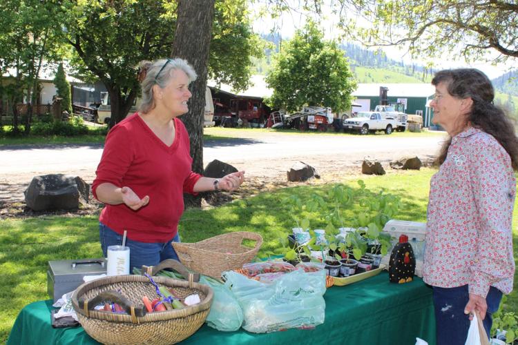 Kooskia Farmers’ Market kicks off fifth season News