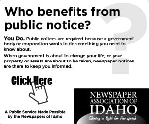 300x250 image ad advertisement