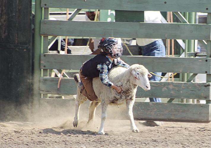 Wild Weippe Rodeo Top Stories