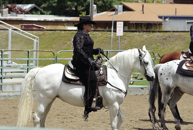 Clearwater County Fair Open Class Horse Show | Top Stories ...
