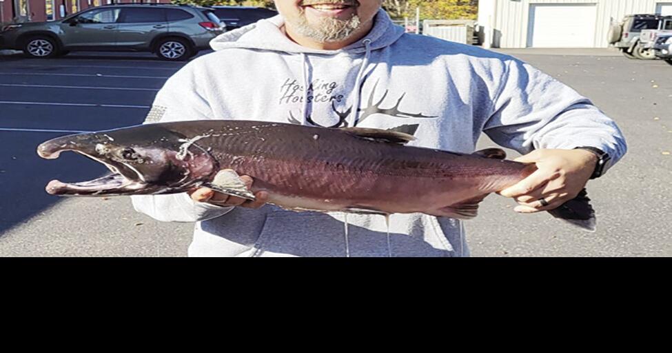 Clearwater River sets new state record coho salmon Fish & Game