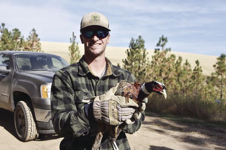 Clearwater Pheasant Stocking & Access Yes! What to Know Before You Go