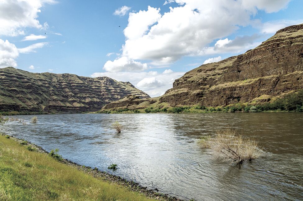 Prime Nursery Grounds For Hells Canyon Bighorn Sheep Permanently ...