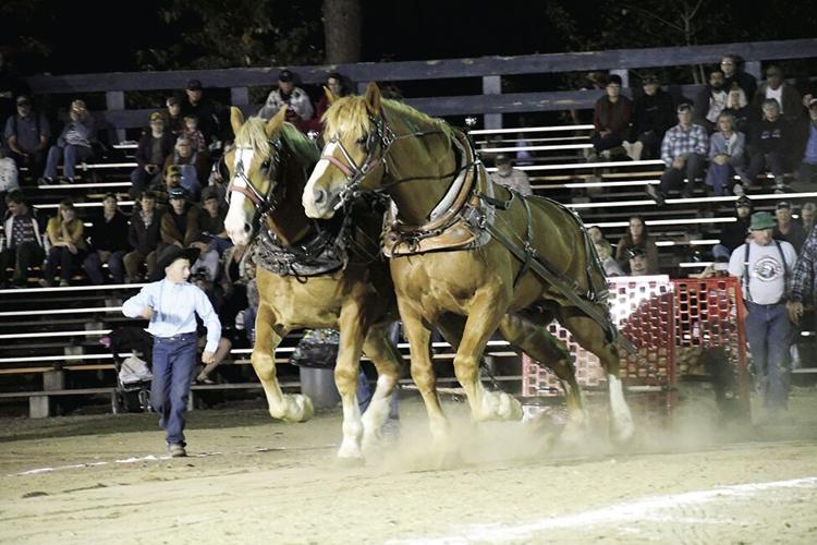 Orofino Lumberjack Days Horse Pull Contest Results Top Stories