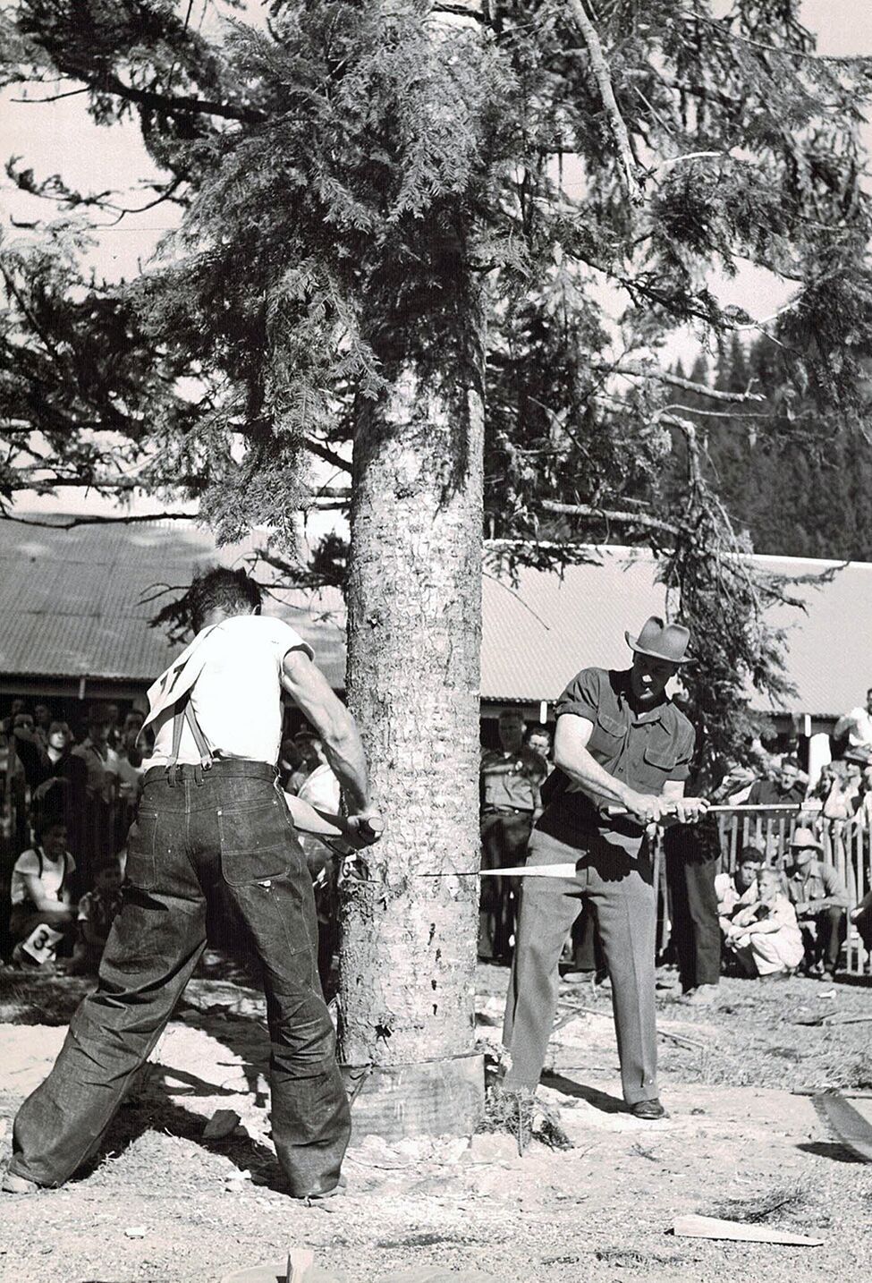 1953 Orofino Lumberjack Days Log Show | Community News ...