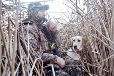 F&G - Waterfowl seasons for youth