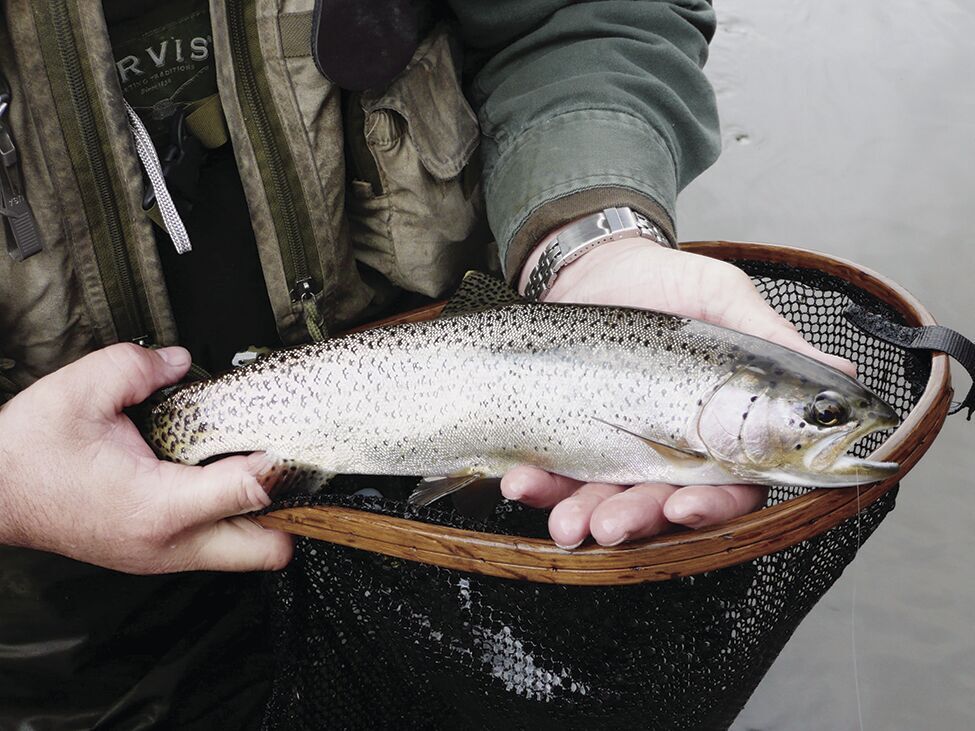 Late fall and winter can be productive for stream fishing, Fish & Game