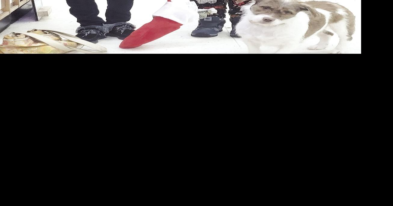 Orofino Best Built Builders Supply’s “Christmas is Going to the Dogs