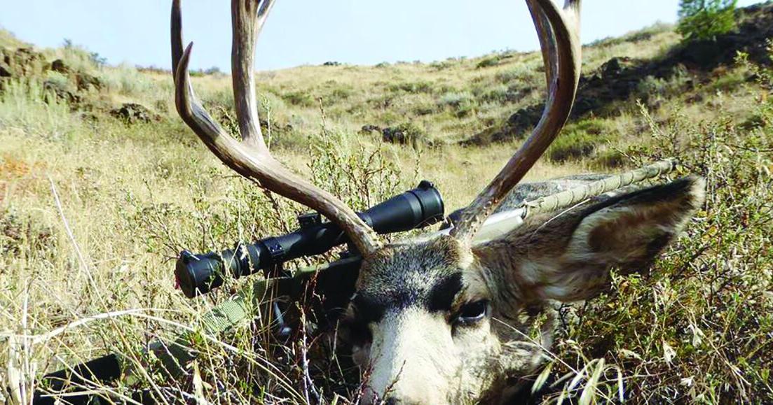 F&G - Harvest Report 4 climbing header 04-15-26 | | clearwatertribune.com