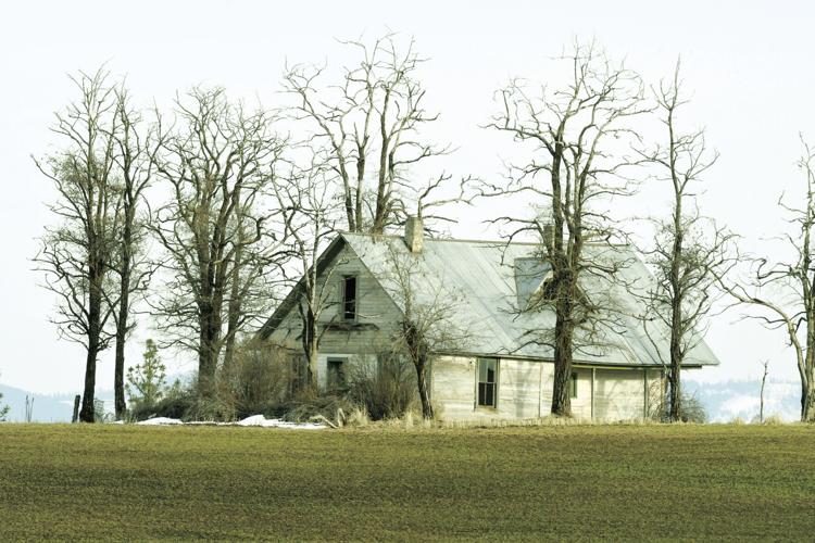 Pioneer house in Fraser Top Stories