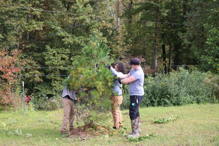 BCTC students offer volunteer work at Forks of Coal Park News