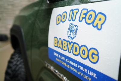 Do It For Babydog truck