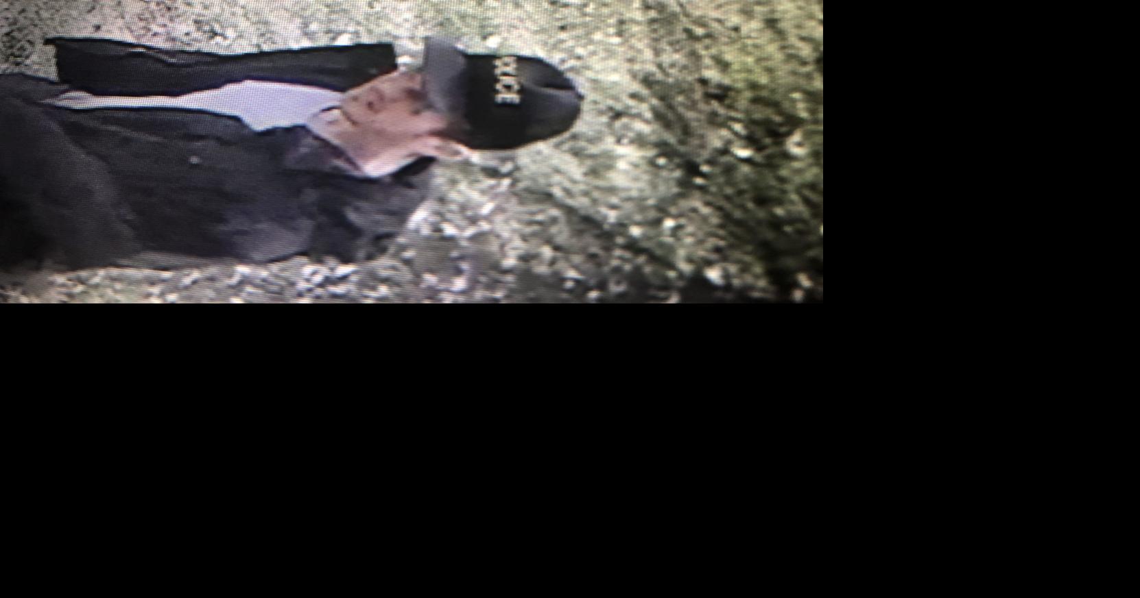 Deputies seek public help in identifying suspects in break-in | News ...