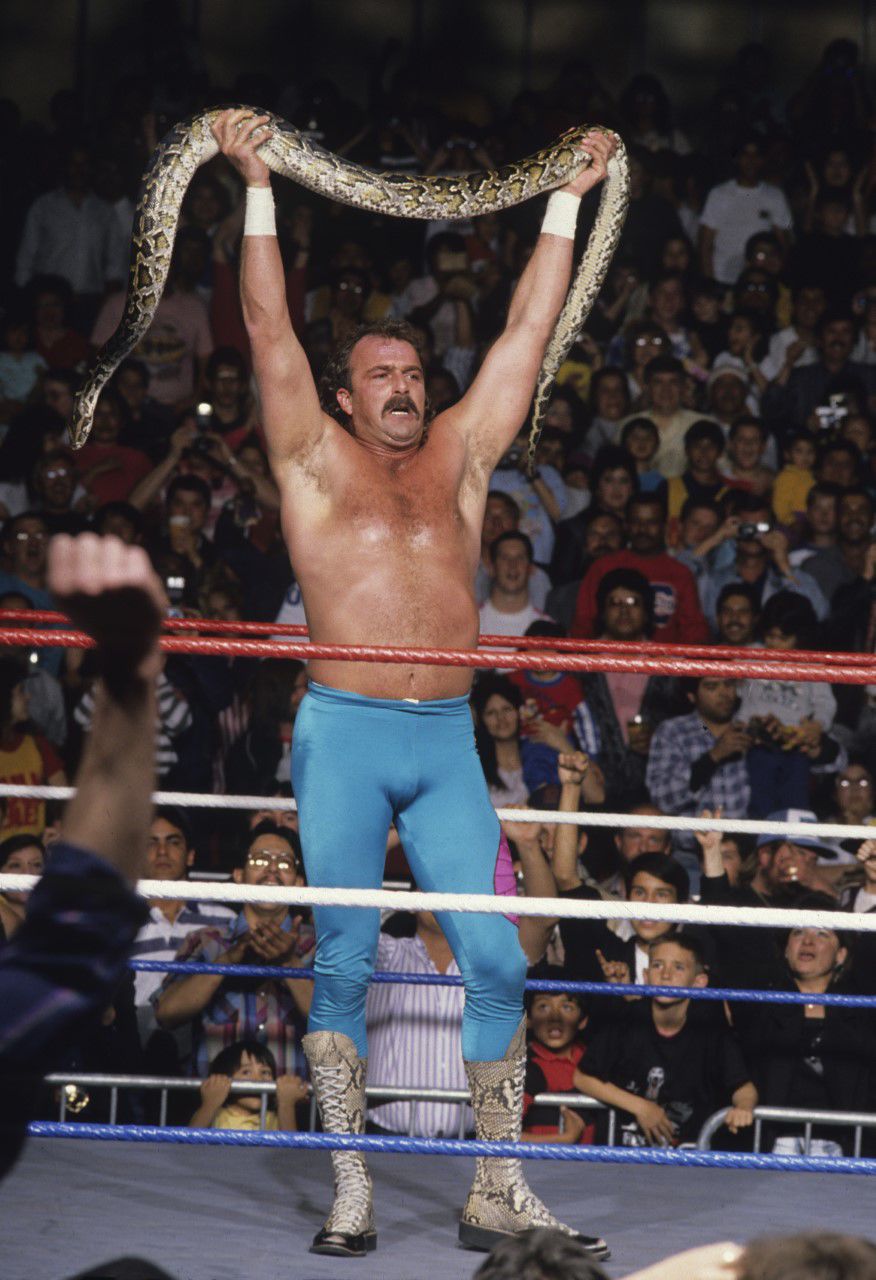 Jake "The Snake" Roberts to headline Recovery Point's annual Embrace