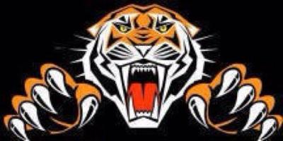 Chapmanville Tigers logo2.JPG