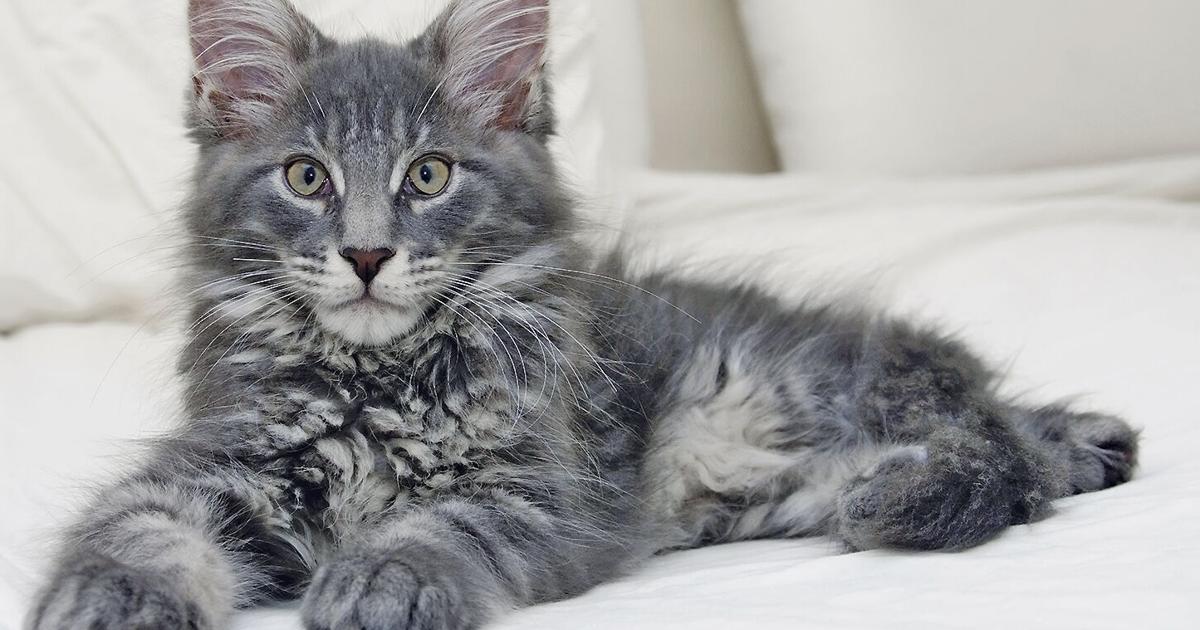 Changing Tides of Life: Sleep Disorders | Columnists Changing Tides of Life: Sleep Disorders | Columnists