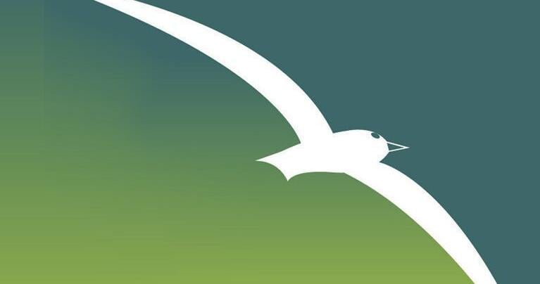 Marco Island: The Phoenix with Deep Roots | Environment ...