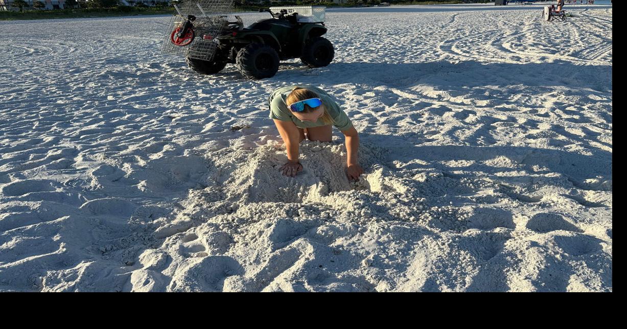 The Journey from Ocean to Nest on Marco