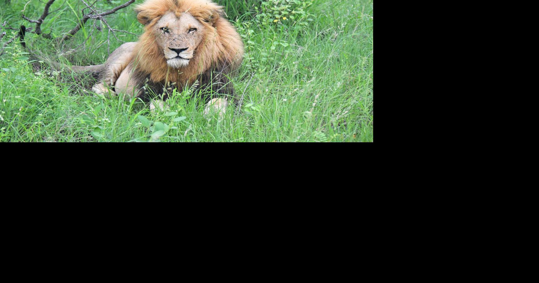 Ultimate Family Holiday Vacation