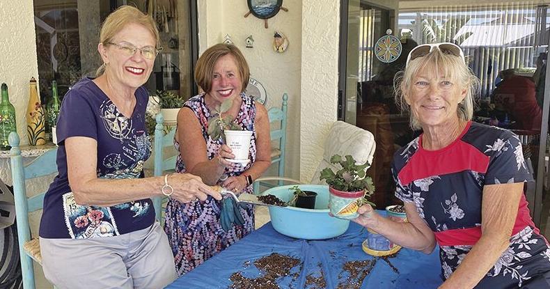 Calusa Garden November Plant Sale Features Succulent Dish Gardens |  Clubs & Organizations