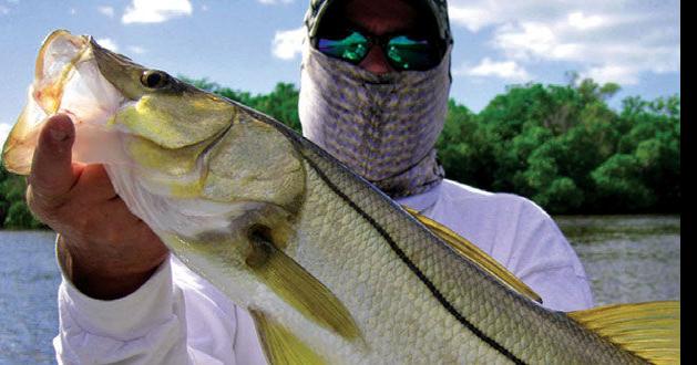 Fishing for snook in the 10,000 Islands, Opinion