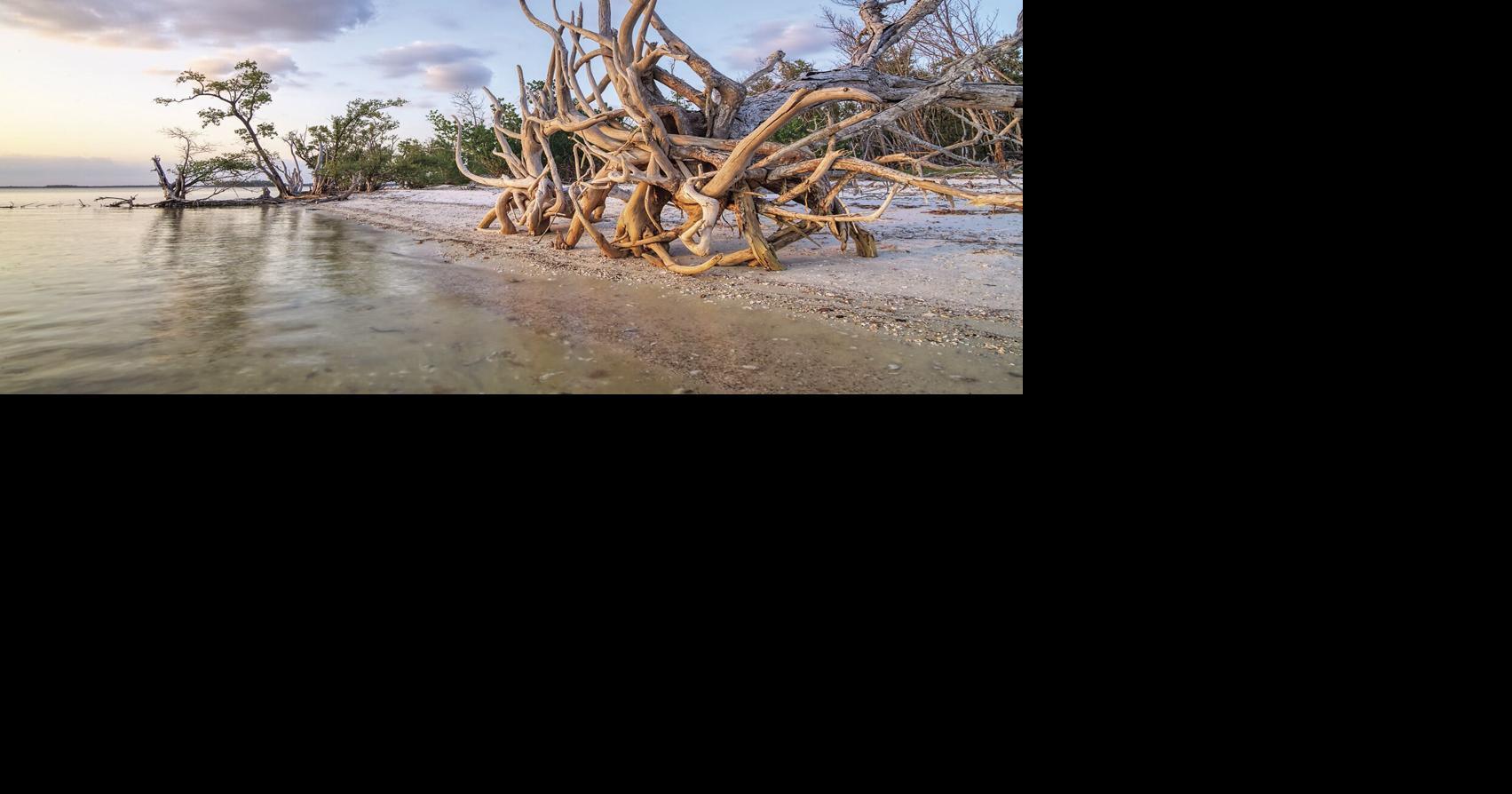 Between the Gulf and the Glades Florida's 10,000 Islands Museums