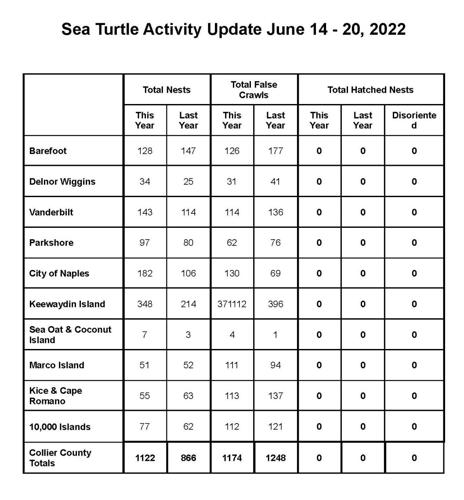 Sea Turtle Activity Update June 14.docx.jpg