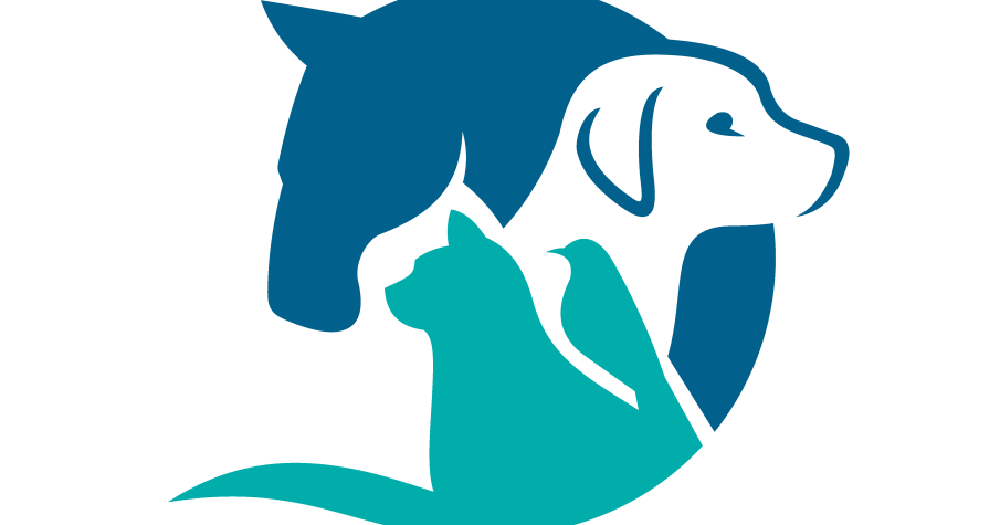 Adoptable Pets